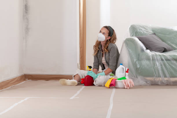 Reliable Basement Mold Remediation contractor in Burlington, KY by Mold Remediation HQ